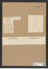 Asteromphalus wallichianus (Grev.) Ralfs. (de-Toni-Nr.: Genus 236, Species 5682) Zeichnungen Sammlung Grunow Nr. 9672 (NHMW-BOT-W0379608)